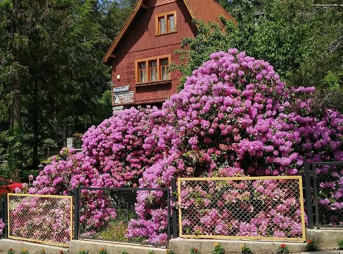 Willa W Dolinie Gasthof