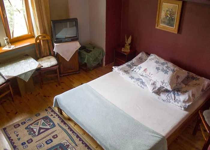 Pensionat Willa W Dolinie *