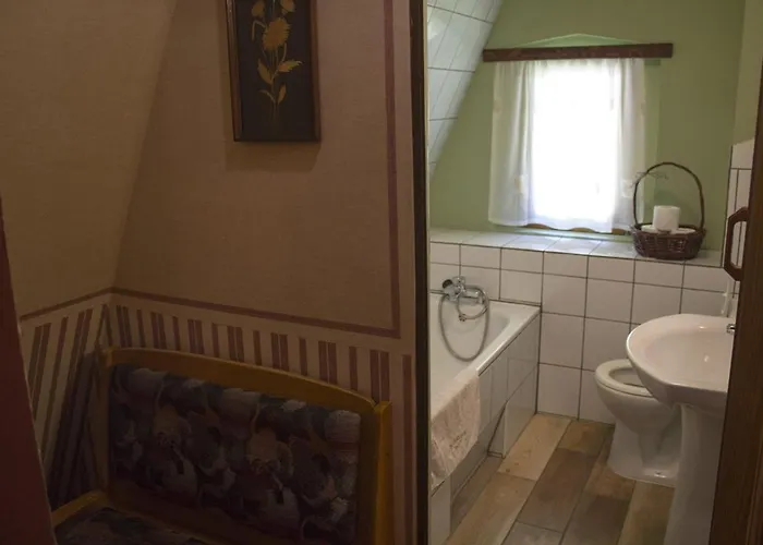 Pensionat Willa W Dolinie