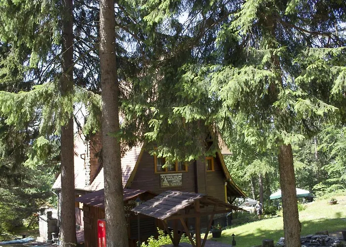 Pensionat Willa W Dolinie